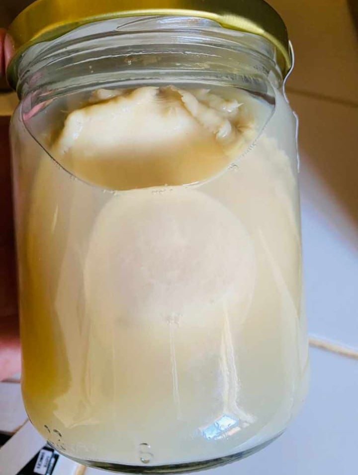 Abulón silvestre grande DERBYS en frasco